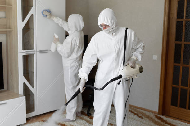 Professional Mold Remediation in Fort Lee, NJ