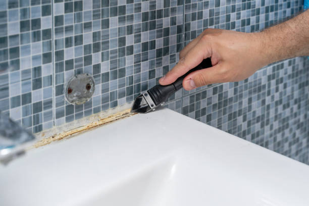 Best Mold Remediation for Specific Building Types in Fort Lee, NJ